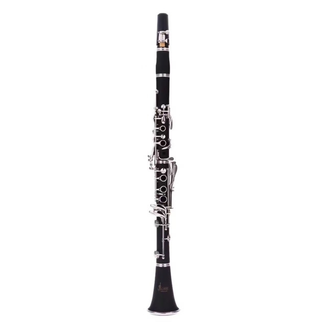 Musical Instrument Manufacturers - Diretamente do fabricante: Clarinete ABS de