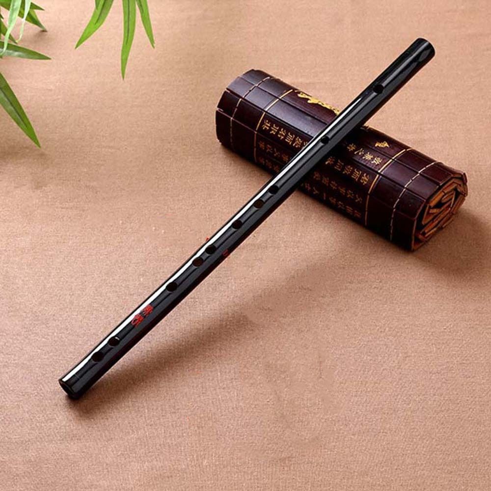 Flauta acrílica transparente e - Musical Instrument Fife avaliação e preço