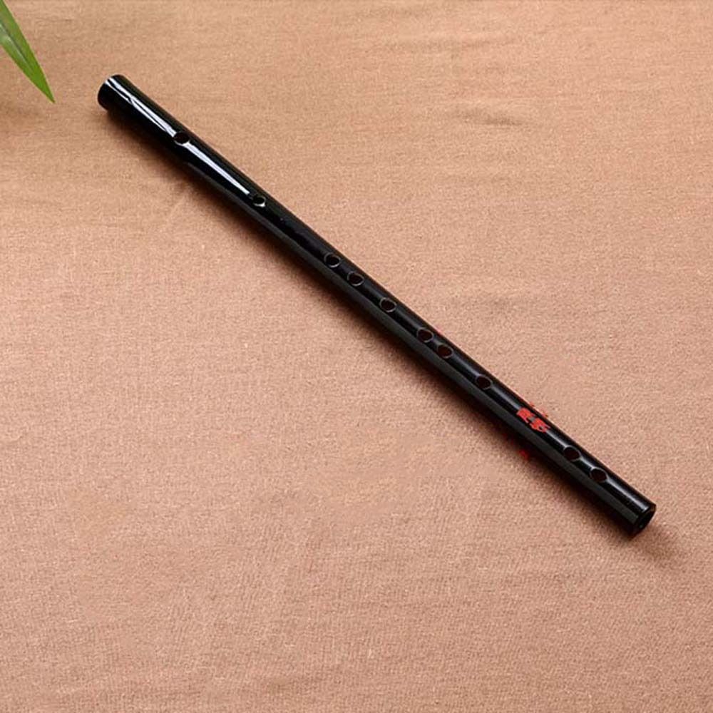 Flauta acrílica transparente e - Musical Instrument Fife avaliação e preço