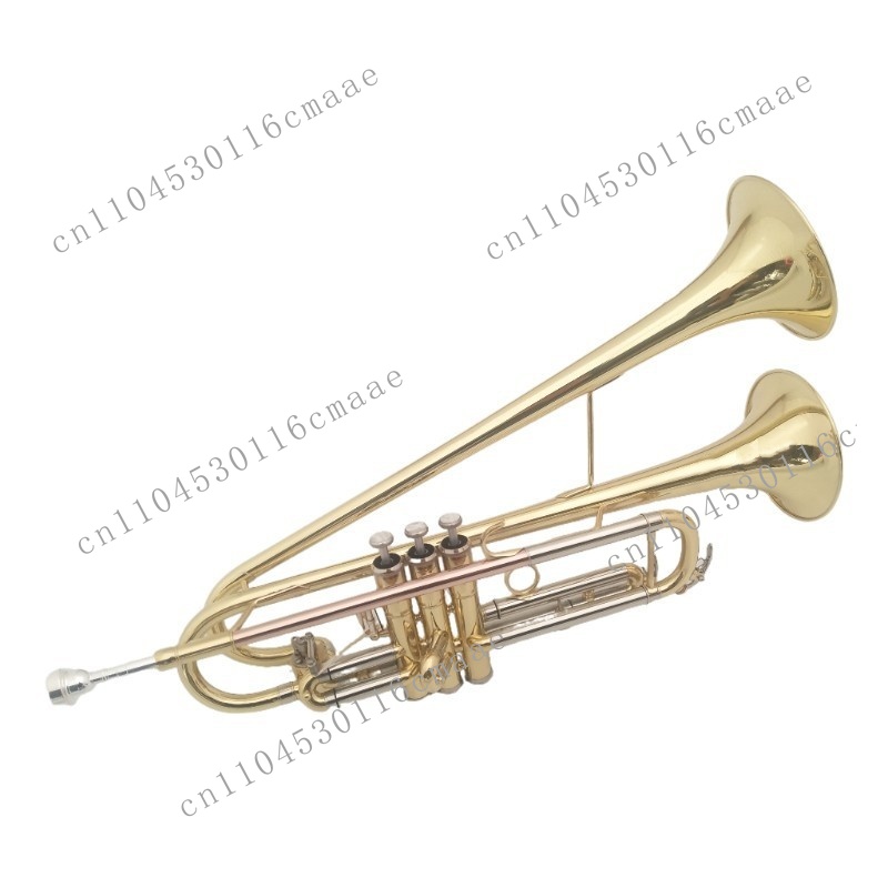 Trompete de Latão com Duplo Co - Musical Instrument Manufacturers avaliação e preço