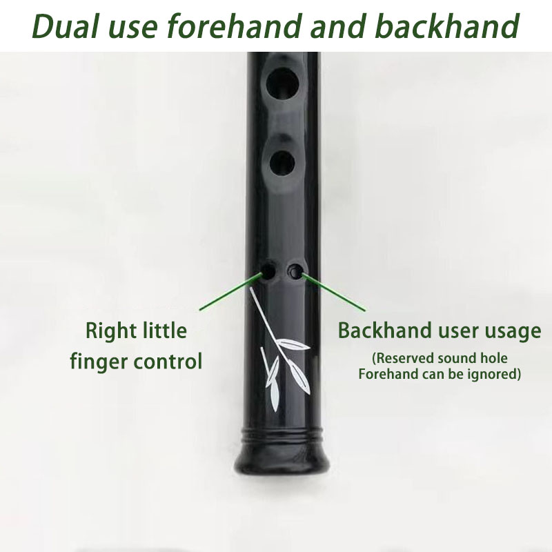 Flauta de Metal D/C em Resina  - Penny Whistle D avaliação e preço